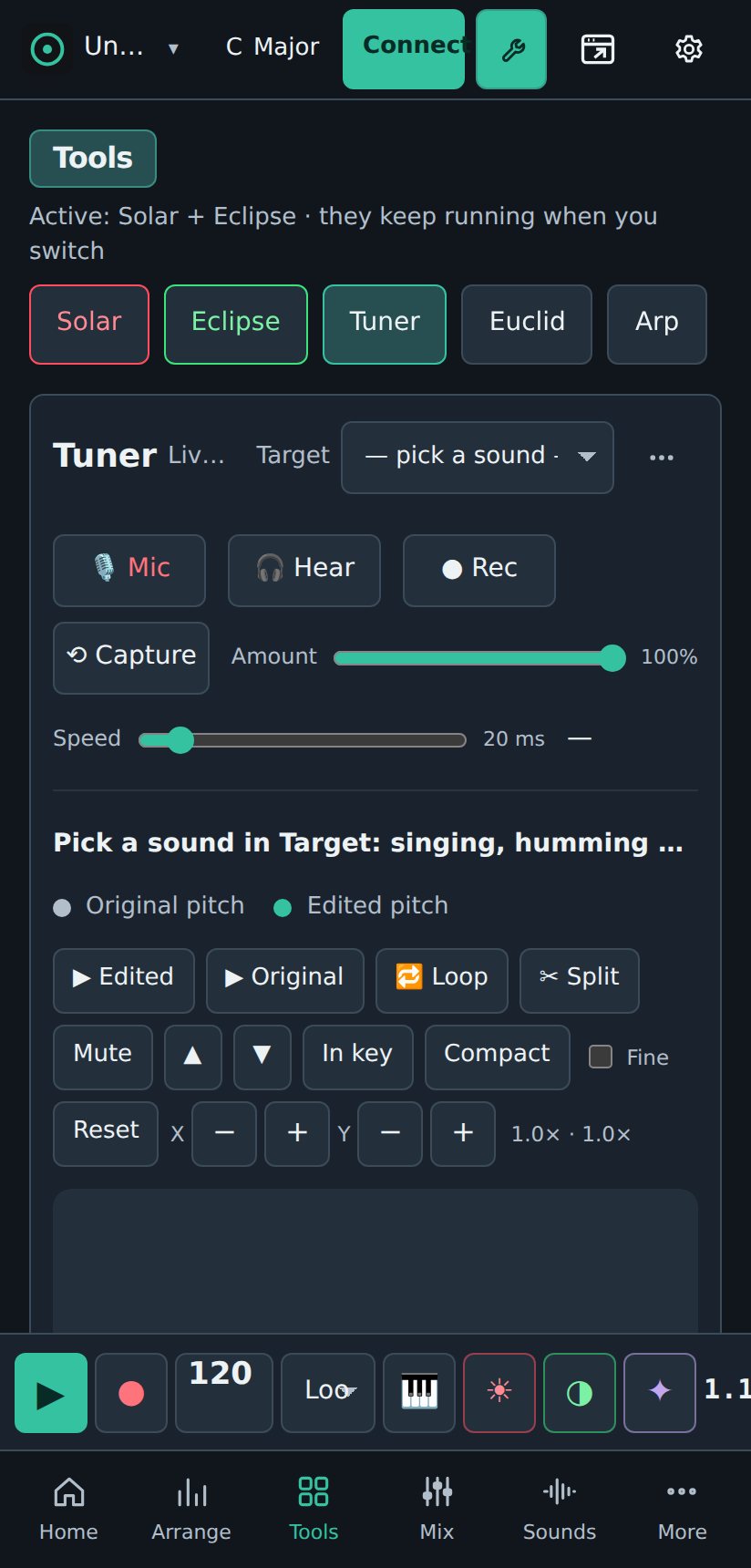 Tuner on a phone